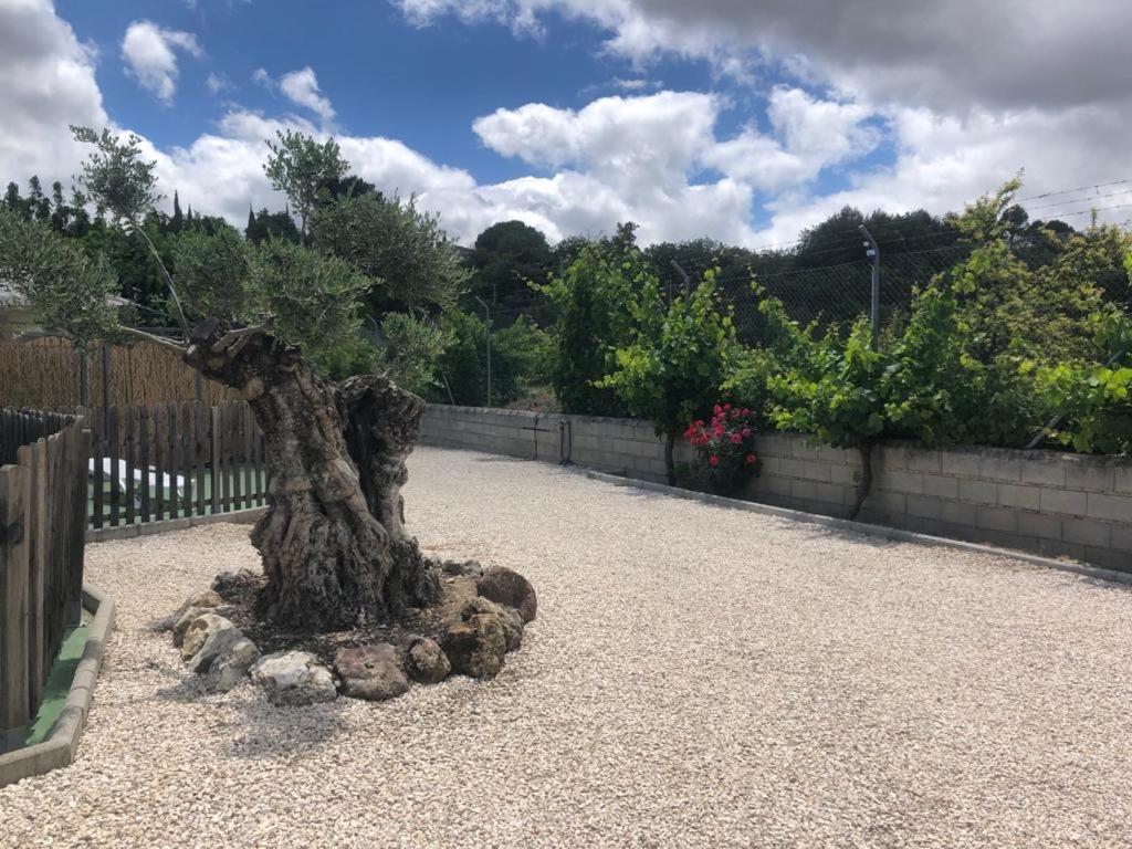 Casa De Campo Patricia Priego de Córdoba Kültér fotó