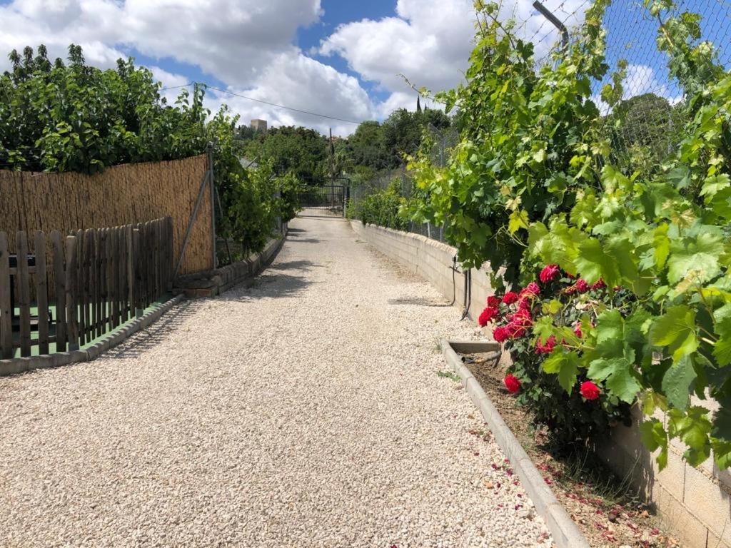 Casa De Campo Patricia Priego de Córdoba Kültér fotó