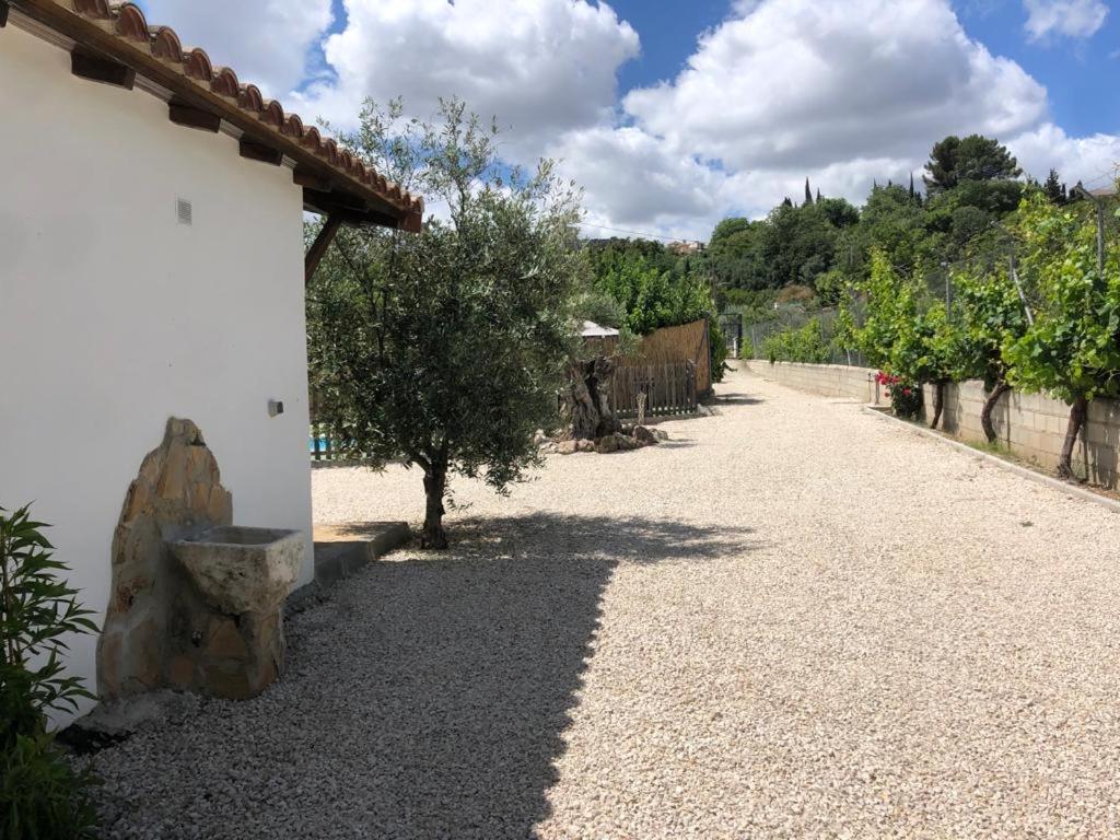 Casa De Campo Patricia Priego de Córdoba Kültér fotó